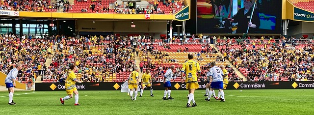 球迷的目光 球迷的目光