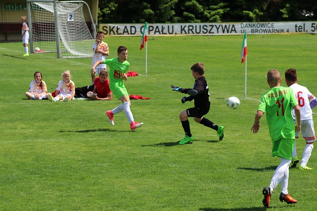 的世界里 的世界里