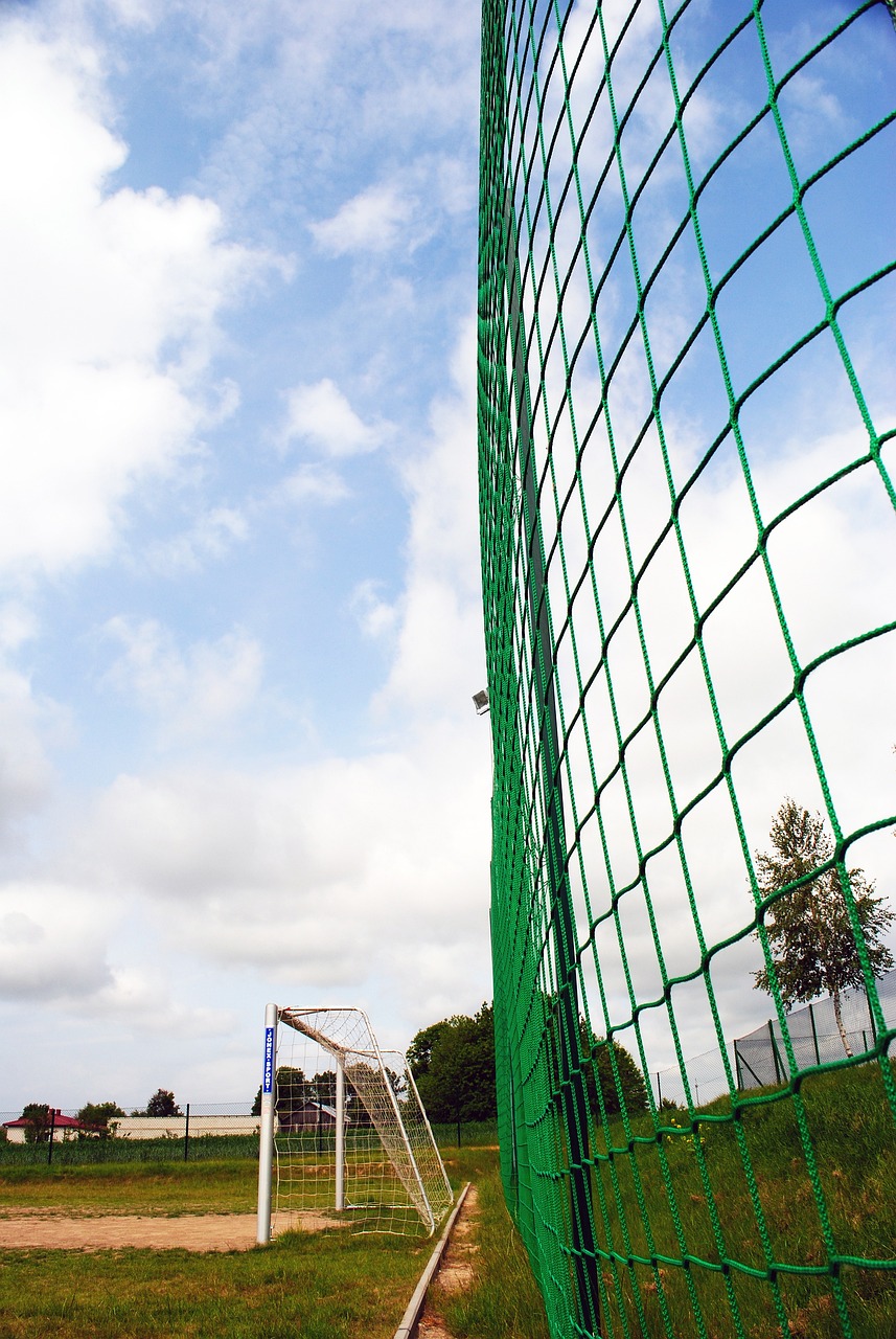 球员的默契 球员的默契