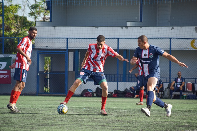 巴薩提供了 巴薩提供了