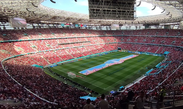 量身定制 量身定制