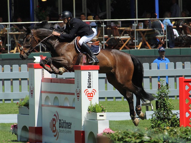 突发情况 突发情况