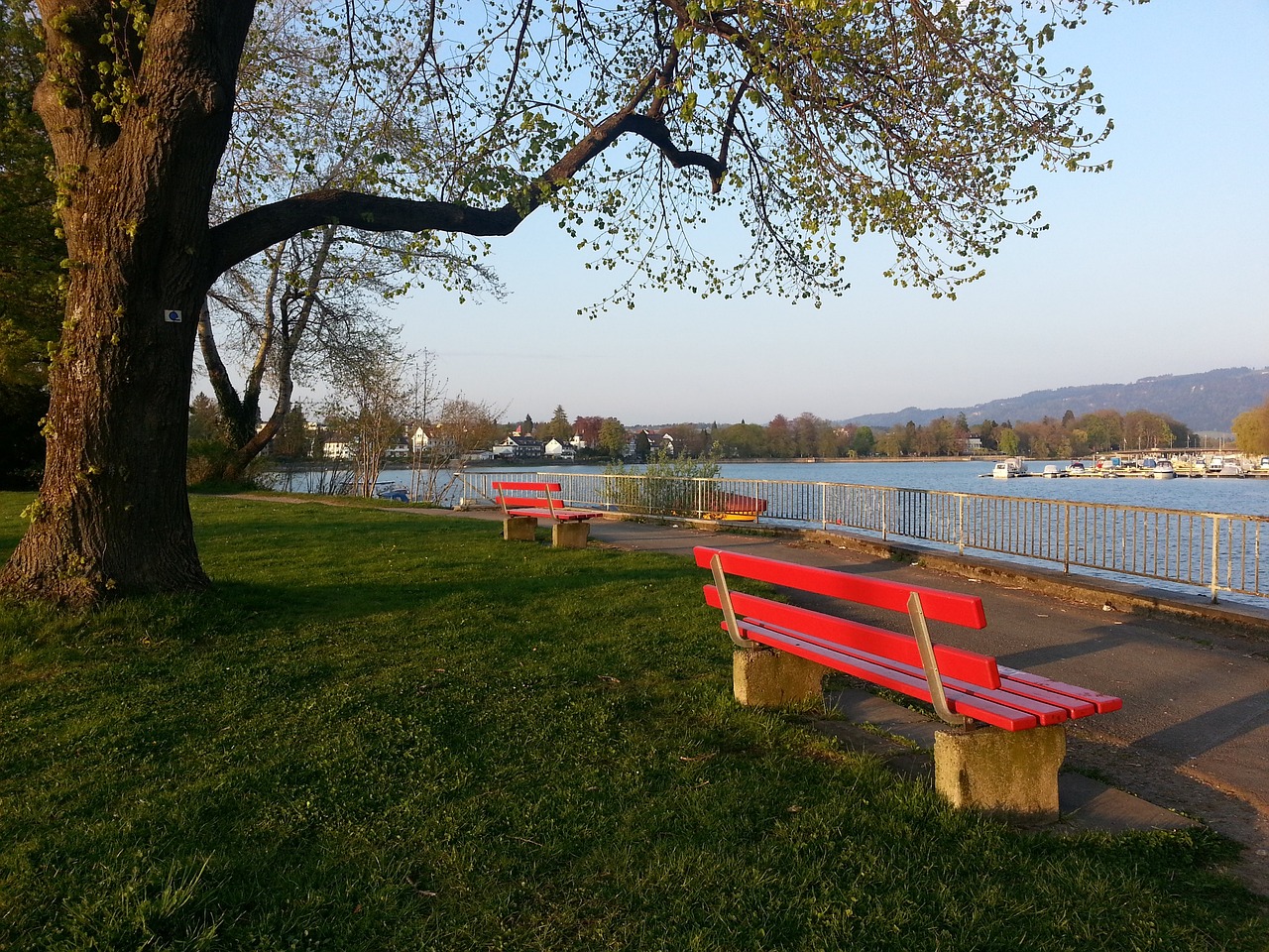 员的方向发 员的方向发